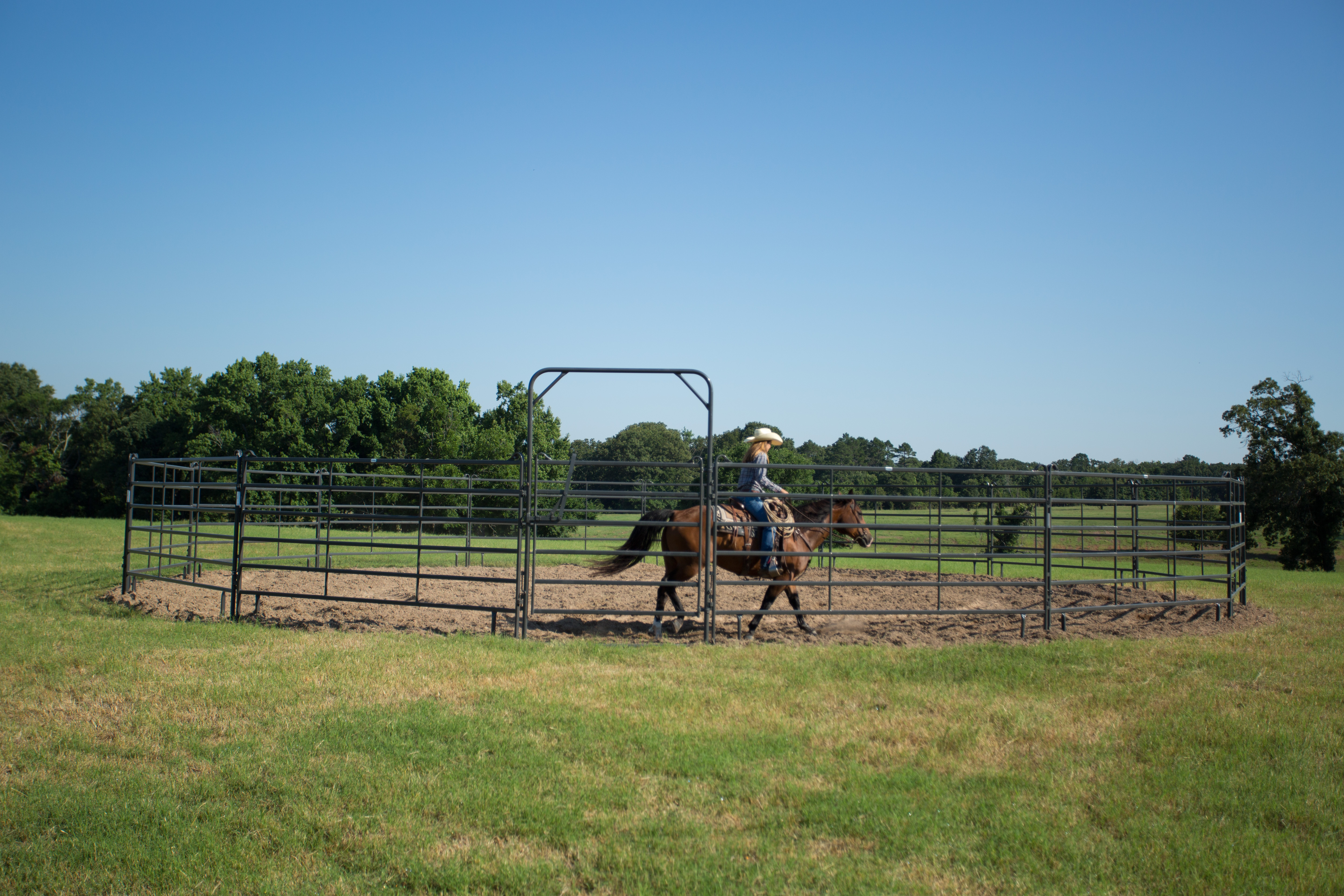 Premier Tall Round Pen PPT50 61.jpg